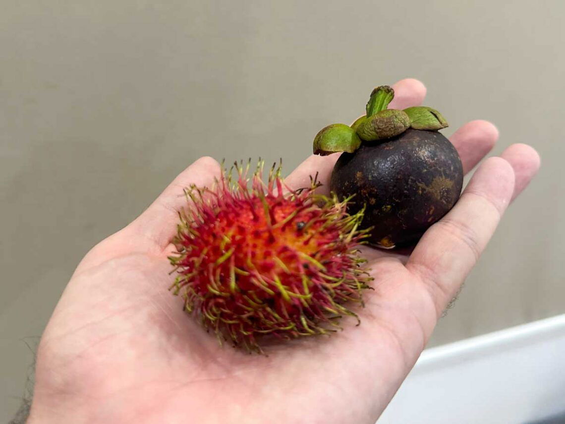 mangosteen and rambutan fruit in vietnam